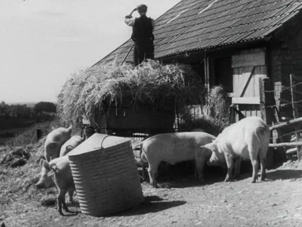 Eastern Valley is one of the many British documentaries in the line-up